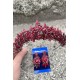 Aldonsa Bordo Gelin Kına Tacı Özel Gün Aksesuar Kadın Taç Ve Üç Mekik Küpe Takımı-ALDONSA-21 Aldonsa Bordo Gelin Kına Tacı Özel Gün Aksesuar Kadın Taç Ve Üç Mekik Küpe Takımı-ALDONSA-21