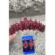 Aldonsa Bordo Gelin Kına Tacı Özel Gün Aksesuar Kadın Taç Ve İnce Mekik Küpe Takımı-ALDONSA-22 Aldonsa Bordo Gelin Kına Tacı Özel Gün Aksesuar Kadın Taç Ve İnce Mekik Küpe Takımı-ALDONSA-22
