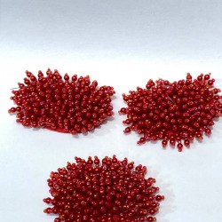 Kırmızı İnci Boncuk İşlemeli Aplik-ARM-1062 Kırmızı İnci Boncuk İşlemeli Aplik-ARM-1062