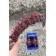 Belicia Bordo Gelin Kına Tacı Özel Gün Aksesuar Kadın Taç Ve Geniş Mekik Küpe Takımı-BELICIA-21 Belicia Bordo Gelin Kına Tacı Özel Gün Aksesuar Kadın Taç Ve Geniş Mekik Küpe Takımı-BELICIA-21