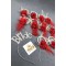Kırmızı Lazer Çiçekli Bileklik Ve Bride Taç Seti-BRIDE-5