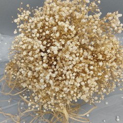 Krem Kurutulmuş Dondurulmuş Cipso Gelin El Buketi Ve Damat Yaka Çiçeği-BUKET-79