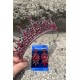 Catalina Bordo Gelin Kına Tacı Özel Gün Aksesuar Kadın Taç Ve Üç Mekik Mekik Küpe Takımı-CATALINA-10 Catalina Bordo Gelin Kına Tacı Özel Gün Aksesuar Kadın Taç Ve Üç Mekik Mekik Küpe Takımı-CATALINA-10