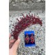 Daisy Bordo Taç ve Üç Mekik Küpe Takımı – Işıltılı Abiye Gelin Seti-DAISY-34 Daisy Bordo Taç ve Üç Mekik Küpe Takımı – Işıltılı Abiye Gelin Seti-DAISY-34