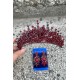Daisy Bordo Taç ve Üç Mekik Küpe Takımı – Işıltılı Abiye Gelin Seti-DAISY-34 Daisy Bordo Taç ve Üç Mekik Küpe Takımı – Işıltılı Abiye Gelin Seti-DAISY-34
