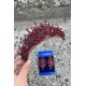 Daisy Bordo Taç ve İnce Mekik Küpe Takımı – Işıltılı Abiye Gelin Seti-DAISY-35 Daisy Bordo Taç ve İnce Mekik Küpe Takımı – Işıltılı Abiye Gelin Seti-DAISY-35