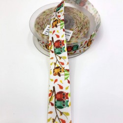 Baskılı Saten Kurdele 2,5 cm-DGK-1236