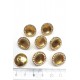 Şeffaf Gold Kasalı Plastik Düğme-DGM-1010