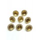 Şeffaf Gold Kasalı Plastik Düğme-DGM-1010