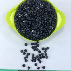 Siyah Plastik İnci Düğme-DGM-1029 Siyah Plastik İnci Düğme-DGM-1029