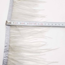 Açık Gri Deve Kuşu Tüyü-DKT-1