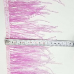 Renkli Lila Deve Kuşu Tüyü-DKT-12