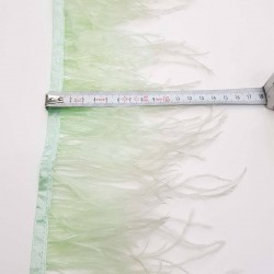 Su Yeşili Deve Kuşu Tüyü-DKT-20