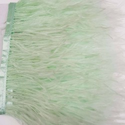 Su Yeşili Deve Kuşu Tüyü-DKT-20