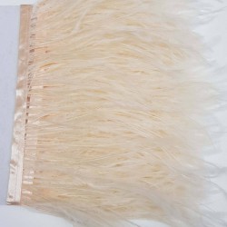 Somon Deve Kuşu Tüyü-DKT-21