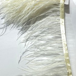 Krem Rengi Deve Kuşu Tüyü-DKT-22