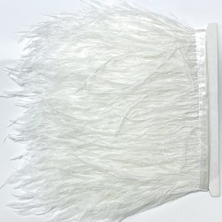 Beyaz Rengi Deve Kuşu Tüyü-DKT-29