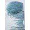 Koyu Bebe Mavi Rengi Deve Kuşu Tüyü-DKT-30
