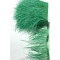 Yeşil Rengi Deve Kuşu Tüyü-DKT-36