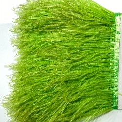 Açık Yeşil Rengi Deve Kuşu Tüyü-DKT-40