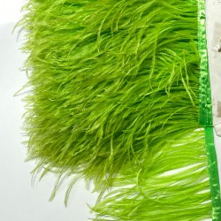 Açık Yeşil Rengi Deve Kuşu Tüyü-DKT-40