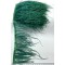 Zümrüt Yeşili Rengi Deve Kuşu Tüyü-DKT-43