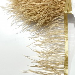 Bal Rengi Deve Kuşu Tüyü-DKT-48