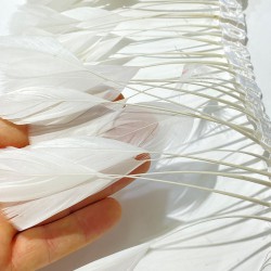 Beyaz Malibu Deve Kuşu Tüyü-DKT-49