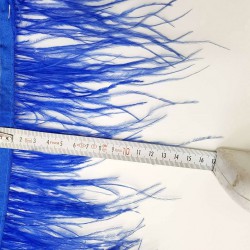Mavi Deve Kuşu Tüyü-DKT-6