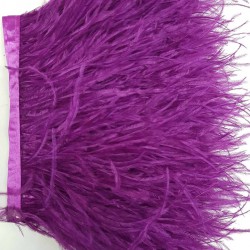 Mor Deve Kuşu Tüyü-DKT-9