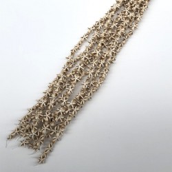 Krem Rengi Yıldız Taş Boncuk-DTB-100