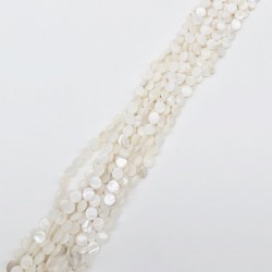 Krem İnci Yassı Boncuk 8 mm-DTB-1081