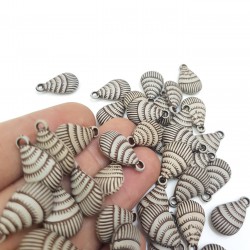 Deniz Kabuğu-DZK-1001