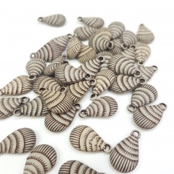 Deniz Kabuğu-DZK-1001