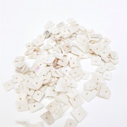 Deniz Kabuğu-DZK-1008