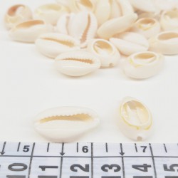 Krem Deniz Kabuğu-DZK-1016