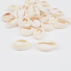 Krem Deniz Kabuğu-DZK-1016