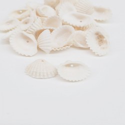 Krem Midye Kabuğu-DZK-1017