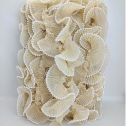 Vizon İncili Plise Fırfır Kurdele-FK-160