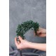 Yeşil Sade Boncuklu Çiçek Desenli Kına Ve Gelin Tacı-GELINTACI-508