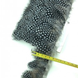 Siyah Gri Renkli Gine Tavuğu Tüyü -GTV-1001