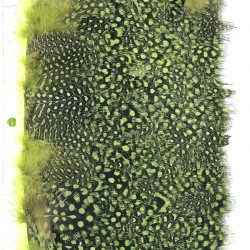 Yeşil Renkli Gine Tavuğu Tüyü-GTV-1002