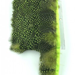 Yeşil Renkli Gine Tavuğu Tüyü-GTV-1002