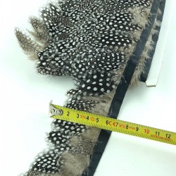 Gri Bej Renkli Gine Tavuğu Tüyü-GTV-1003