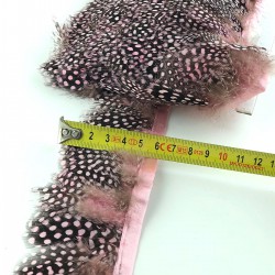 Pembe Renkli Gine Tavuğu Tüyü-GTV-1004