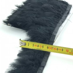 Siyah Gine Tavuğu Tüyü-GTV-1005