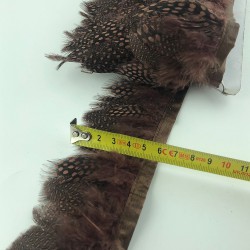 Kahve Renkli Gine Tavuğu Tüyü-GTV-1006