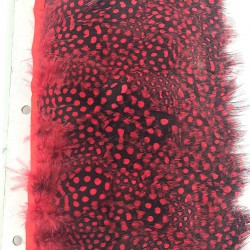 Kırmızı Renkli Gine Tavuğu Tüyü-GTV-1007