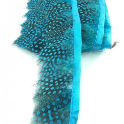 Turkuaz Renkli Gine Tavuğu Tüyü-GTV-1008