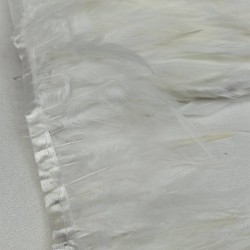 Kırık Beyaz Horoz Tüy-HTUY-1